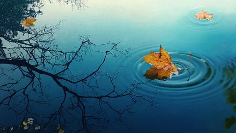 A natureza e as consequências do problema de somente reconhecer Deus sem reconhecer a verdade