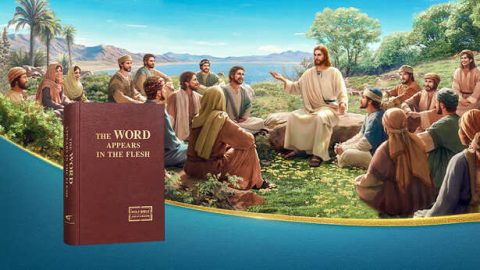 O Senhor Jesus e Deus Todo-Poderoso são o mesmo Deus, mas realizam diferentes obras em épocas distintas. O Senhor Jesus fez a obra da redenção e pregou o caminho do arrependimento. Nos últimos dias, Deus Todo-Poderoso realiza a obra de julgamento e purificação da humanidade, e lhes traz o caminho da vida eterna. Eu ainda tenho outra pergunta: qual é a diferença entre o caminho do arrependimento e o caminho da vida eterna?