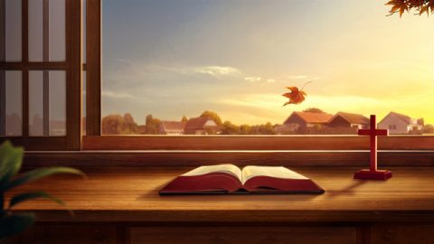 Por que não se conseguirá obter vida eterna defendendo e adorando a Bíblia