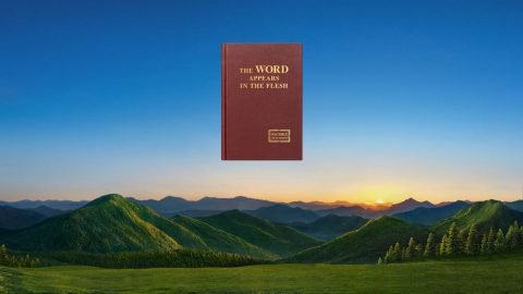 Como exatamente Deus realiza Sua obra de julgamento para salvar e purificar a humanidade nos últimos dias?