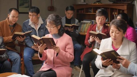 Como você pode buscar a verdade para que não seja iludido por mentiras? Quais são os princípios da prática? (1)