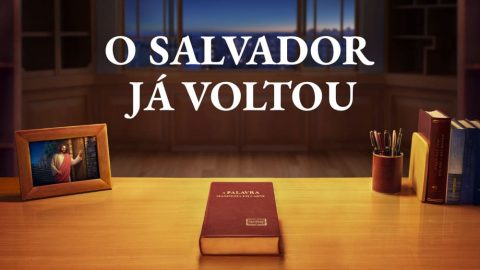 O Salvador já voltou