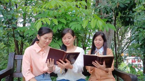 Por que eu estava me recusando a colaborar com os outros?