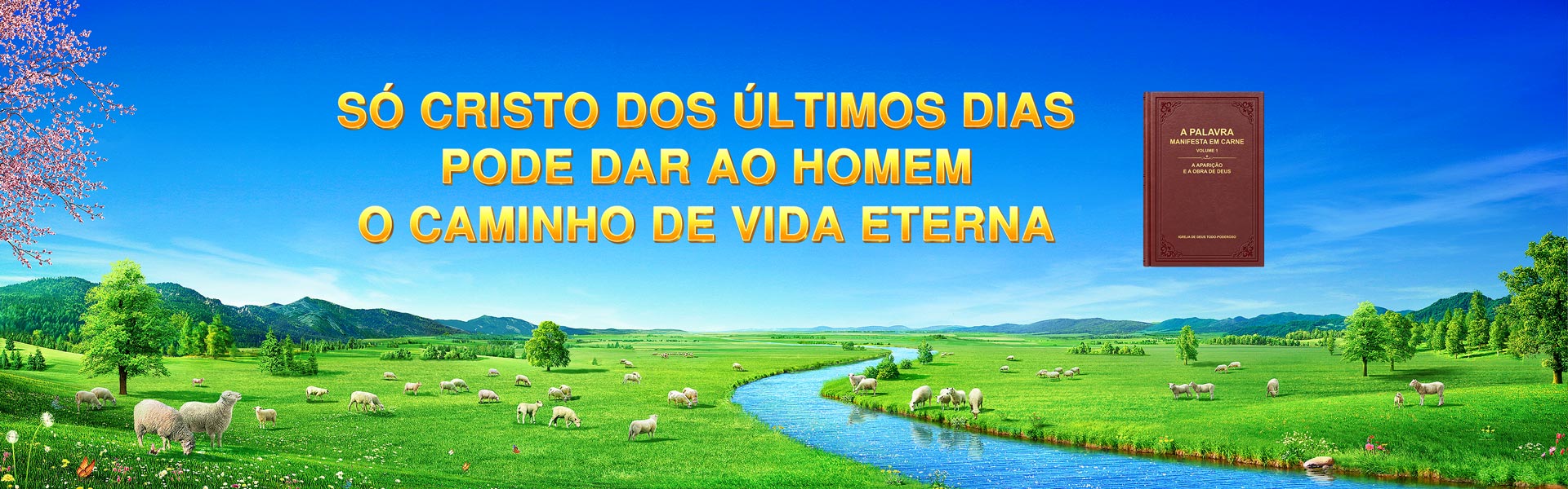 Só Cristo dos últimos dias pode dar ao homem o caminho de vida eterna