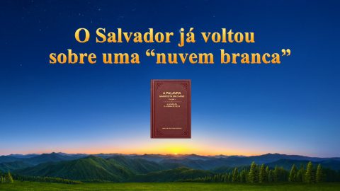 O Salvador já voltou sobre uma “nuvem branca”